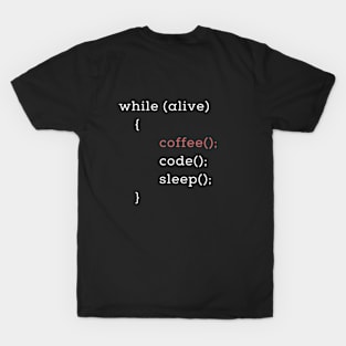 Developer T-Shirt